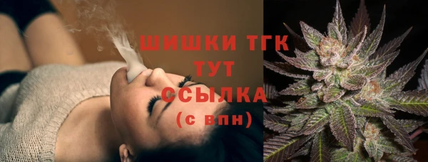 каннабис Ессентукская