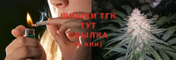 каннабис Ессентукская