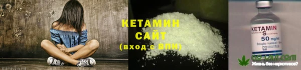 каннабис Ессентукская