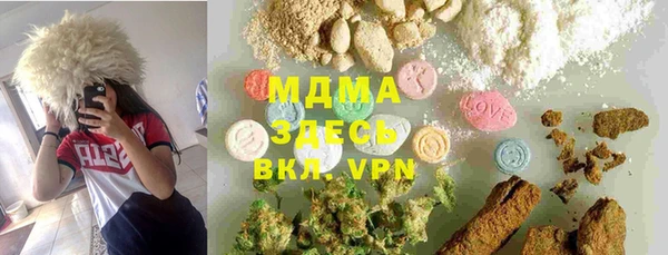 каннабис Ессентукская