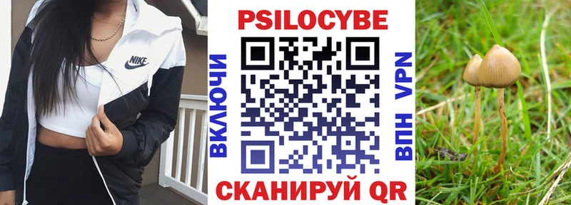 Купить где  Красноармейск  Псилоцибиновые грибы Psilocybine cubensis 
