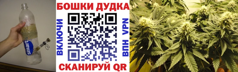 Бошки Шишки White Widow  Купить где  Красноармейск 